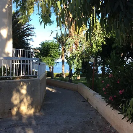 King Alexander * Paphos
