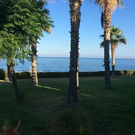 King Alexander Villa