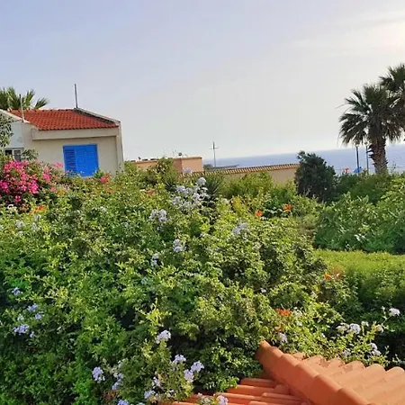 King Alexander Paphos
